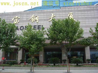 寶鋼大廈. 寶鋼大廈.