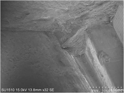 blob:http%3A//m.b2b168 blob:http%3A//m.b2b168