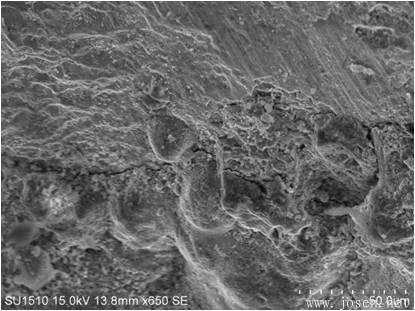 blob:http%3A//m.b2b168 blob:http%3A//m.b2b168