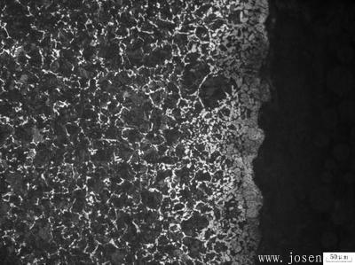 脫碳層-1.jpg 脫碳層-1.jpg