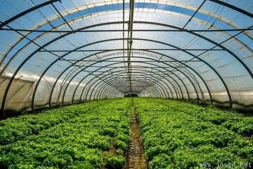 大棚造價(jià)及優(yōu)缺點(diǎn)分析-2.jpg 大棚造價(jià)及優(yōu)缺點(diǎn)分析-2.jpg