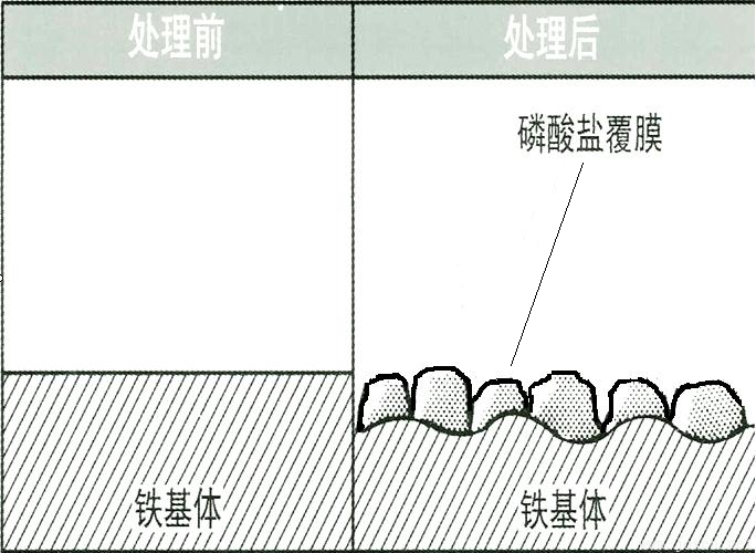 a)磷化膜的生長示意圖.png a)磷化膜的生長示意圖.png