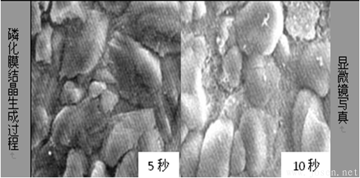 b)磷化膜不同時間的顯微寫真.png b)磷化膜不同時間的顯微寫真.png