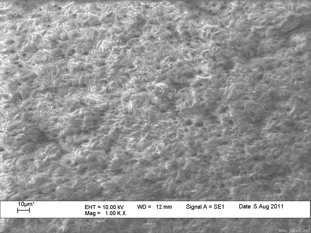 a)傳統磷化膜形貌 X1000.png a)傳統磷化膜形貌 X1000.png