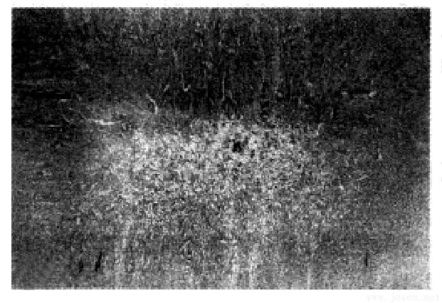 鋼材的中心疏松04.jpg 鋼材的中心疏松04.jpg