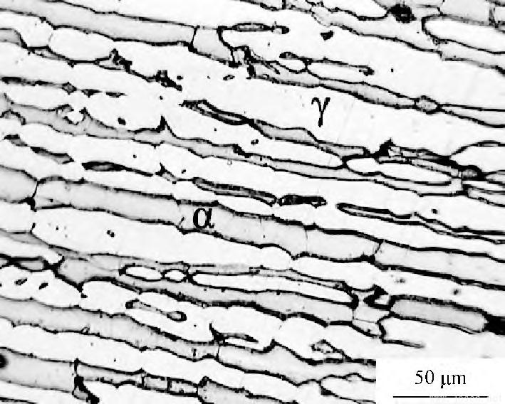 典型2507雙相不銹鋼顯微組織.jpg 典型2507雙相不銹鋼顯微組織.jpg