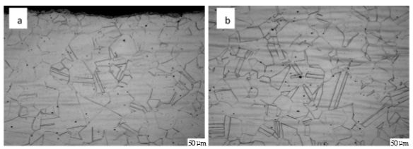 圖6  904L熱軋態(tài)固溶處理后顯微組織（a，邊部；b，心部）.png